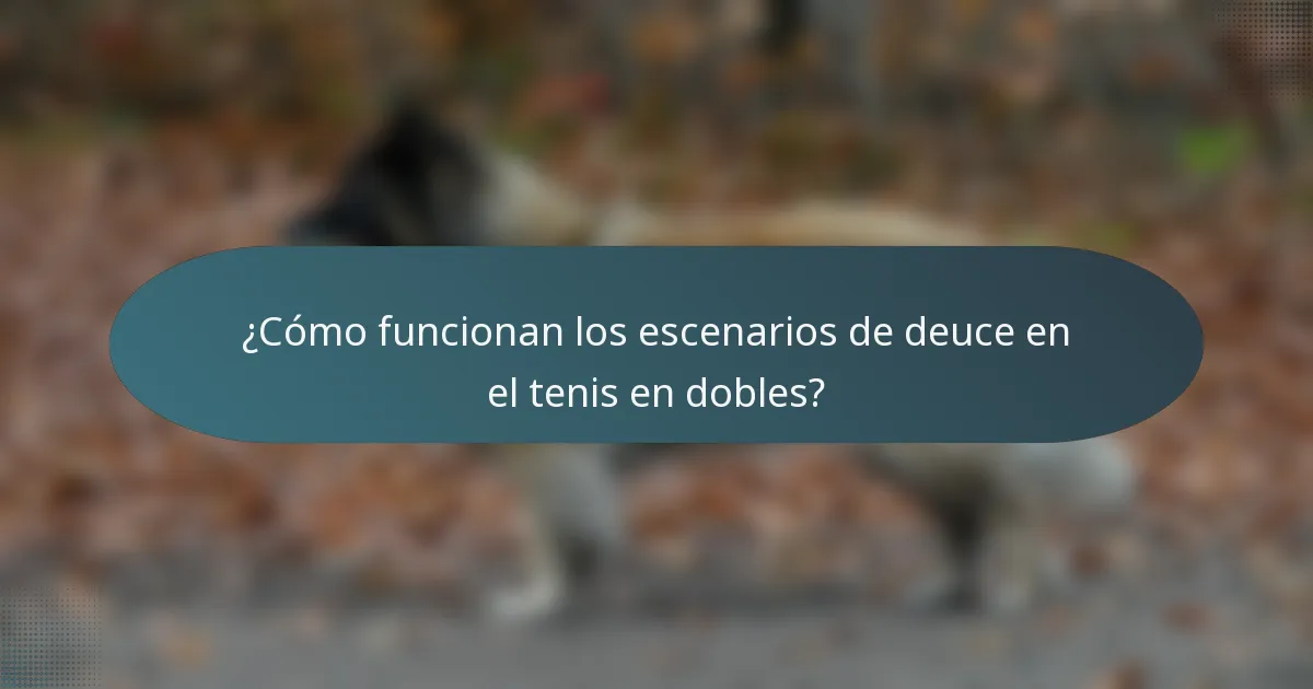 ¿Cómo funcionan los escenarios de deuce en el tenis en dobles?