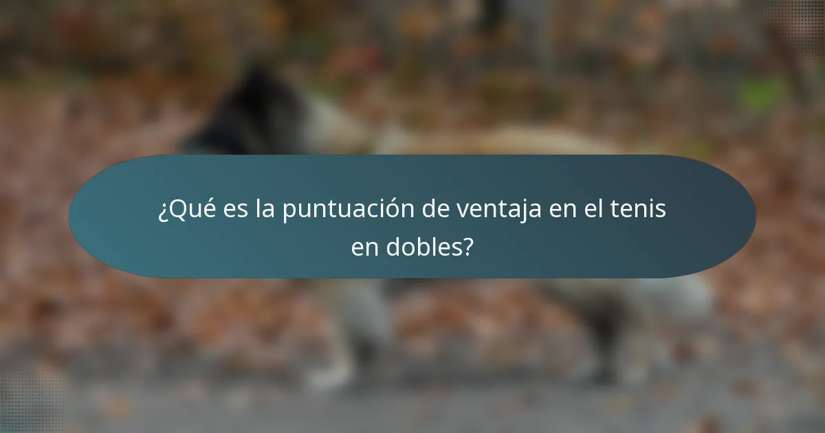 ¿Qué es la puntuación de ventaja en el tenis en dobles?
